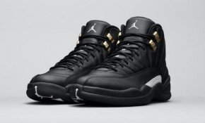 Air Jordan 12 The Master design