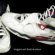 Michael Jordan basketball Sneakers